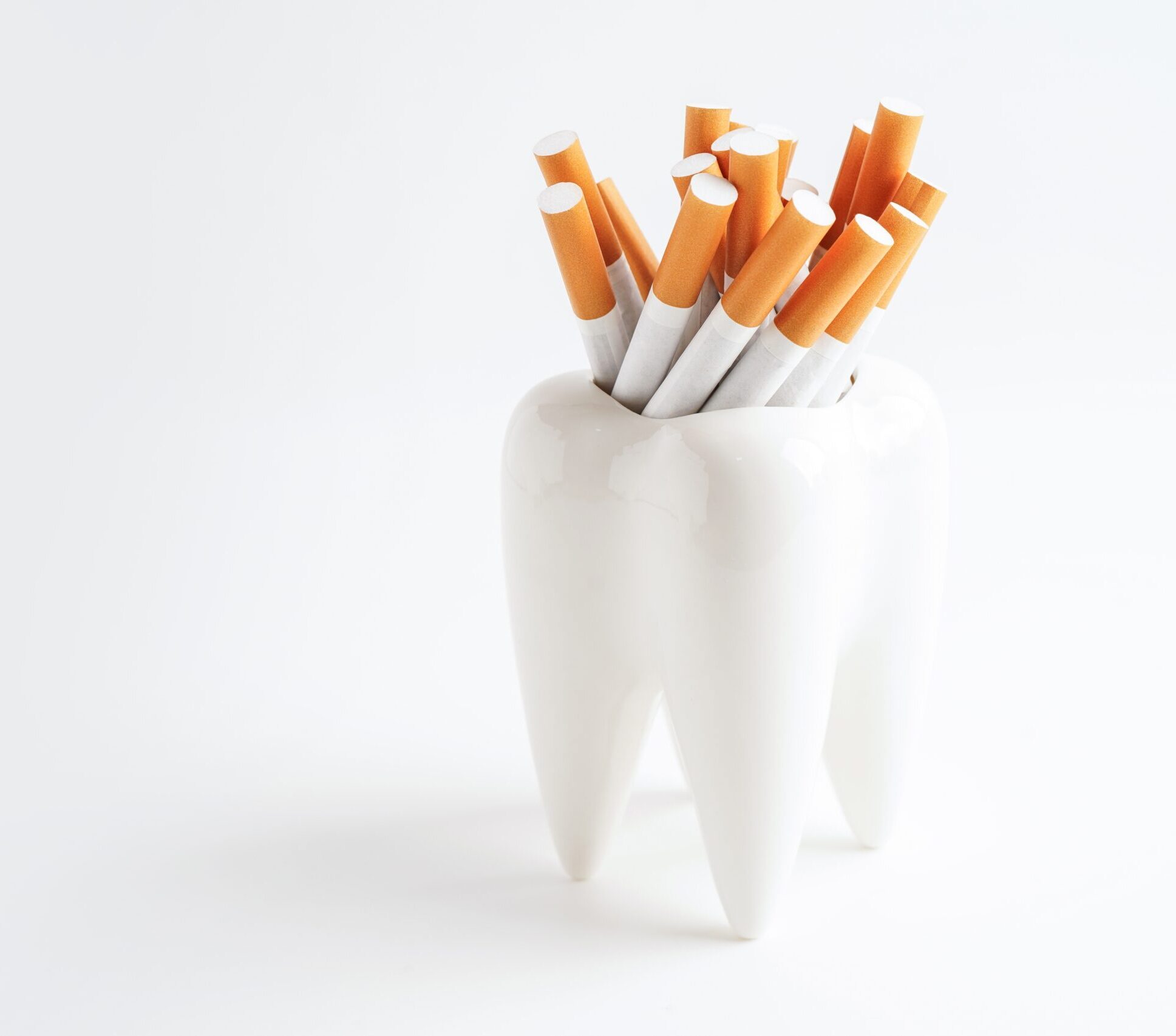 A model tooth on a white background holds a bundle of cigarettes'