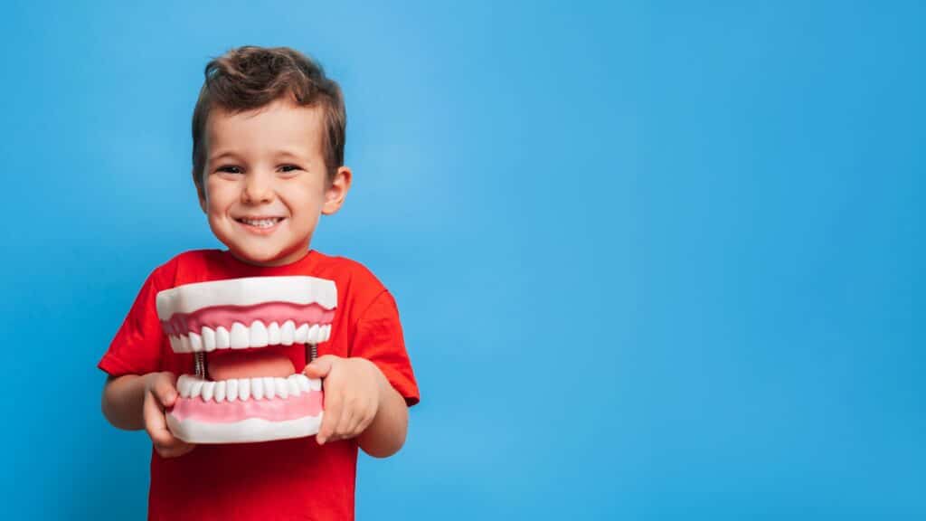 A young boy in a red shirt is holding a model of a mouth and smiling